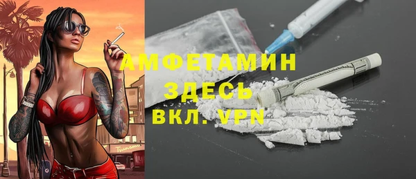 хмурый Алзамай