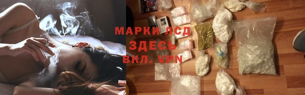 хмурый Алзамай