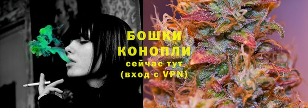 сатива Абдулино