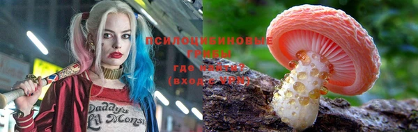 хмурый Алзамай