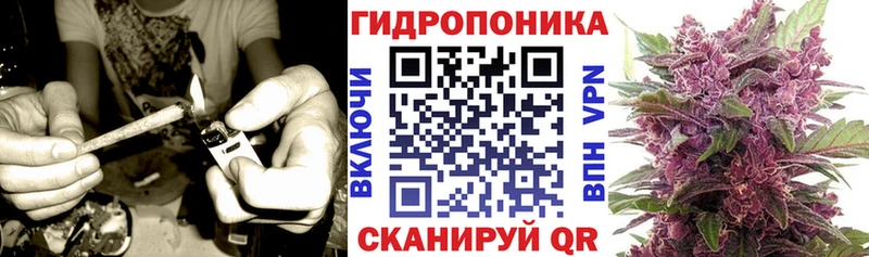 Канабис Bruce Banner где купить наркотик Почеп